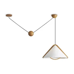 Потолочный светильник Freya FR5554CL-01T (Дерево)