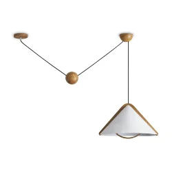 Потолочный светильник Freya FR5554CL-01T (Дерево)