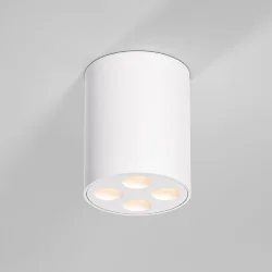 Светильник потолочный светодиодный Points 7W 3000K белый 25111/LED (067482)