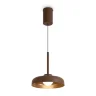 Подвесной светильник Движение / Movement (Коричневый) FR5602PL-L5BR - фото