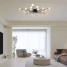 Потолочный светильник Знаменитость / Celebrity (Черный) FR5242CL-24B1 - фото 11