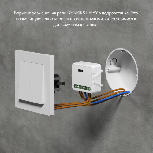 RL1001-SM Одноканальное Wi-Fi реле-выключатель 1 x 2300 Вт / 250 Вт для LED. Фото 4