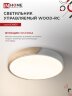 Светильник светодиодный SCANDY WOOD-75RCW 75Вт 230В 3000-6500K 6000Лм 400x50мм с пультом ДУ белый IN HOME - Фото 7