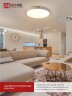 Светильник светодиодный SCANDY WOOD-75RCW 75Вт 230В 3000-6500K 6000Лм 400x50мм с пультом ДУ белый IN HOME - Фото 8