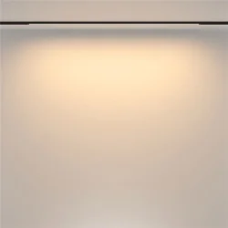 Трековый светильник Basis Basity 3000K/6000K 24Вт 120° (Черный)