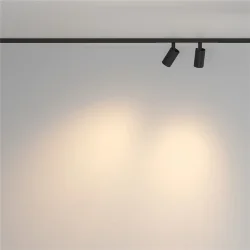 Трековый светильник Фокус / Focus Duo Basity 3000K/6000K 10Вт 36° (Черный) TR176-1-2X5WTW-M-B