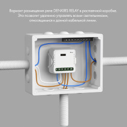 Одноканальное Wi-Fi реле-диммер 1 x 200 Вт, Denkirs RL1003-DM