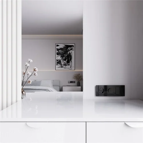 Диммер (черный акрил) W1142048 - фото 3