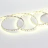 Светодиодная лента Standart class 3528,120led/m, Day White, 12V, IP20, G180 - фото I
