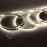 Светодиодная лента Standart class 3528,120led/m, Day White, 12V, IP20, G180 - фото 2.