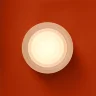 Настенный светильник (бра) Ретро / Retro (Никель) FR5603WL-L8W1 - фото 3