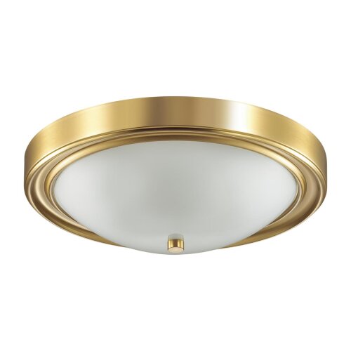 Настенно-потолочный светильник «LUMION» 5259/3C, серия: NINA (крепление на планке). Фото 1.