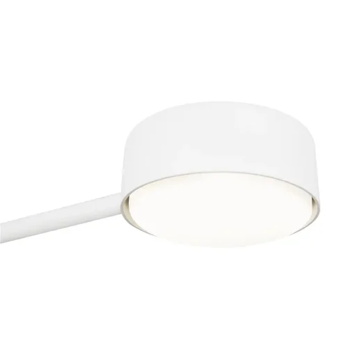 Потолочный светильник Freya FR5363CL-02W1 (Белый) - фото 4