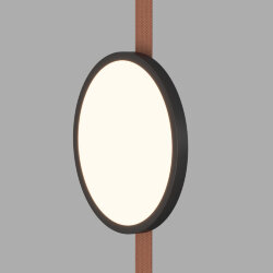 Cветильник для трека-ремня Belty, серия Flow, со светодиодом, D168*H29.5мм, 48V DC, 10W, RA90, 120°, 3000K, IP20, черный, алюминий, Denkirs DK5567-BK