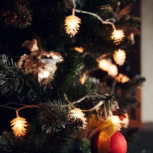 ULD-S0500-050-DTA WARM WHITE IP20 PINE CONES Гирлянда светодиодная Шишки, 5м, 50 светодиодов, Теплый белый свет, Провод прозрачный - фото 6