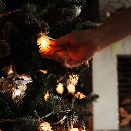 ULD-S0500-050-DTA WARM WHITE IP20 PINE CONES Гирлянда светодиодная Шишки, 5м, 50 светодиодов, Теплый белый свет, Провод прозрачный - фото 8