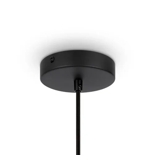 Подвесной светильник Roots E27х1 (Черный) - фото 6