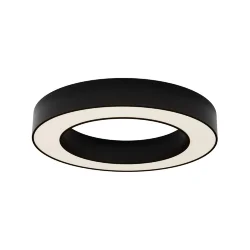 Потолочный светильники Lua 3000К 36Вт 120° (Черный)