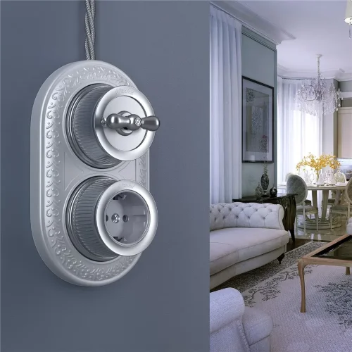 Розетка с заземлением и шторками матовый хром ретро WL19-10-02 - фото 2