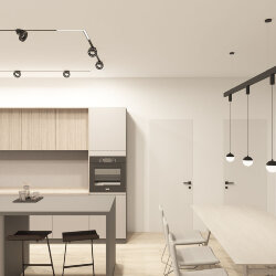 Подвесной светильник SMART MOON 12W DIM 3000K-6000K, черный, алюминий, акрил, Denkirs DK8056-BK