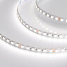 Светодиодная лента RT-B96-10mm 24V Day4000 (23 W/m, IP20, 5060, 5m) (Arlight, Открытый) 017424(2) - фото