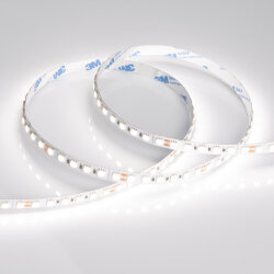 Светодиодная лента RT-В96-10mm 24V Day4000 (23 W/m, IP20, 5060, 5m) (Arlight, Открытый) 017424(2)