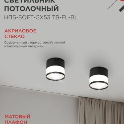 Светильник потолочный НПБ-SOFT-GX53 TB-FL-BL под GX53 матовый плафон, 82х70мм черный IN HOME