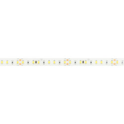 Светодиодная лента FITOLUX-SE-А144-10mm 24V Day4000-Red (14 W/m, IP65, 2835, 5m) (Arlight, 14 Вт/м, IP65) 038170