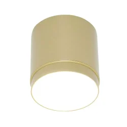 Потолочный светильник Polar GX53 1x12Вт (Матовое Золото)