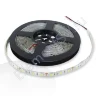 Светодиодная лента Standart class, 5050, 60led/m, White, 12V, IP65, G34 - фото.
