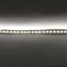 Светодиодная лента Standart PRO class, 3528, 120 led/m, Warm White, 12V, IP20 - фото III