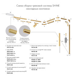 Электрический коннектор прямой для трека SHINE BASE, 48V DC, IP20, сатинированная латунь, алюминий, Denkirs TR5722-SB
