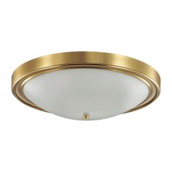 Настенно-потолочный светильник «LUMION» 5259/4C, серия: NINA (крепление на планке) - -