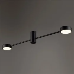 Потолочный светильник Freya FR5363CL-02B1 (Черный)