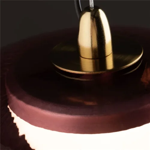 Подвесной светильник Freya FR5384PL-L11R (Черный) - фото 5