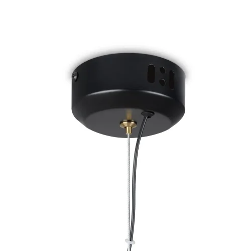 Подвесной светильник Freya FR5384PL-L11R (Черный) - фото 9