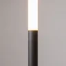 Напольный светильник (торшер) Ray 3000К 18Вт (Черный) - фото 4