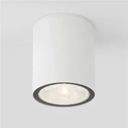 Уличный потолочный светильник Light LED IP65 35131/H белый (056230)