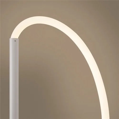 Напольный светильник (торшер) FR6059FL-L60W Нарядный / Fancy 36 Вт LED (Белый) FR6059FL-L60W - фото 9
