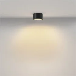 Потолочный светильник Zon 2700К 12Вт 120° (Черный)