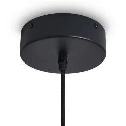 Подвесной светильник Freya FR6181PL-L16B (Черный)