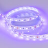 Светодиодная лента RT-В60-10mm 12V UV400 (14.4 W/m, IP20, 5060, 5m) (Arlight, Открытый) 012815(2) - фото 2