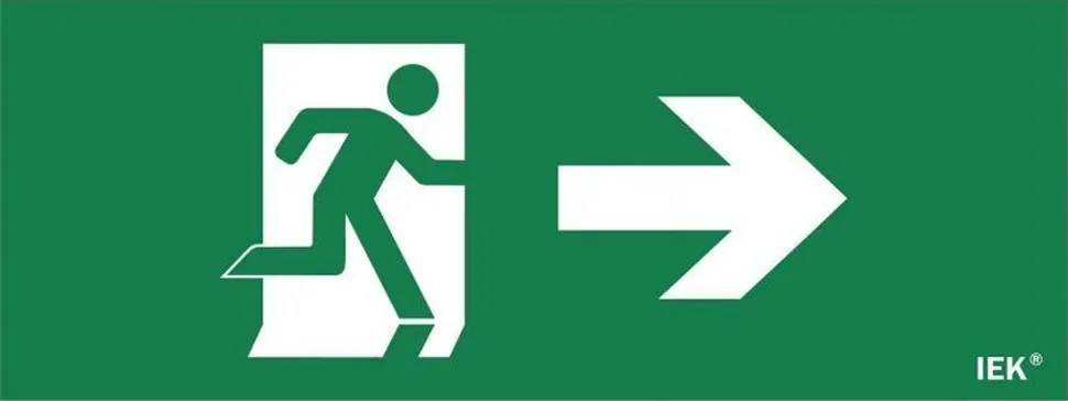 Этикетка самоклеящаяся 'Фигура/стрелка вправо' ДПА IP20/54 IEK LPC10-1-24-09-FNAPR - фото