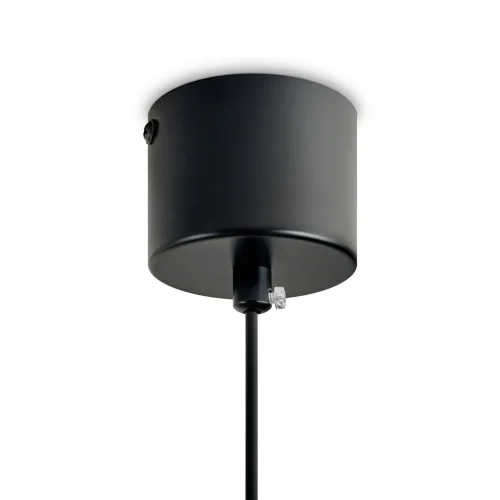 Подвесной светильник Freya FR5599PL-01CFL (Черный) - фото 13