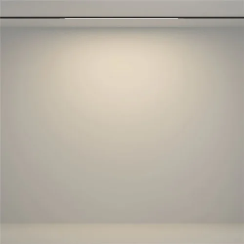 Трековый светильник Flex Basity 3000K/6000K 12Вт 90° (Черный) - фото 3