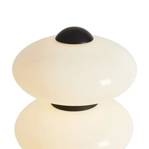 Напольный светильник (торшер) Freya FR5553FL-L20B (Черный) - фото 14