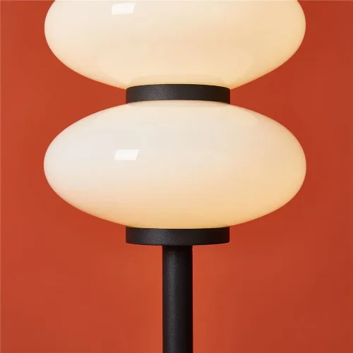 Напольный светильник (торшер) Freya FR5553FL-L20B (Черный) - фото 5