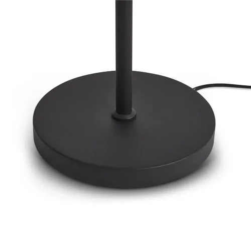 Напольный светильник (торшер) Freya FR5553FL-L20B (Черный) - фото 16