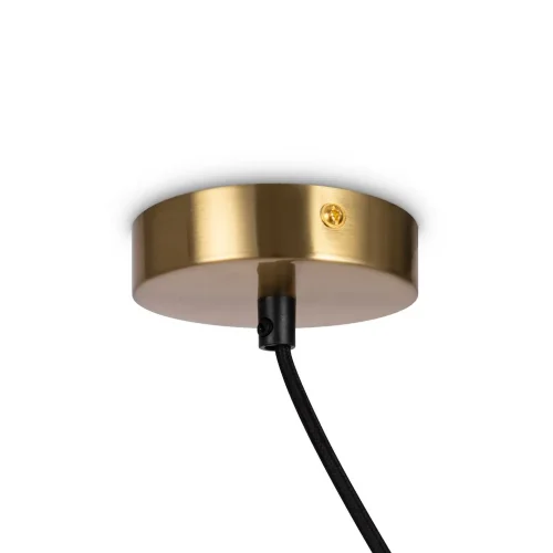 Подвесной светильник Freya FR5221PL-01BS (Латунь) - фото 9