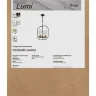 Подвесной светильник FR5524PL-04BBZ Люми / Lumi E27x4 (Черный и Бронза) FR5524PL-04BBZ - фото 4